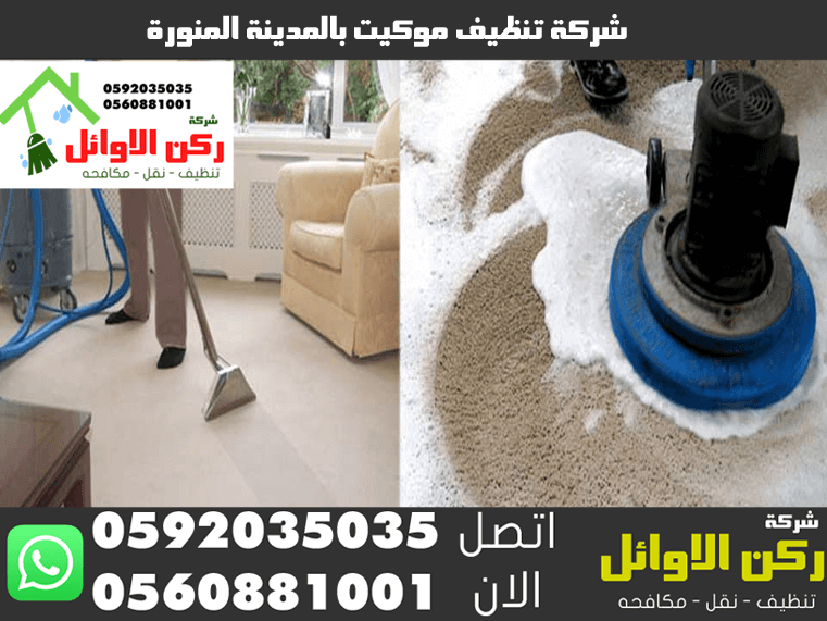 شركة تنظيف موكيت بالمدينة المنورة