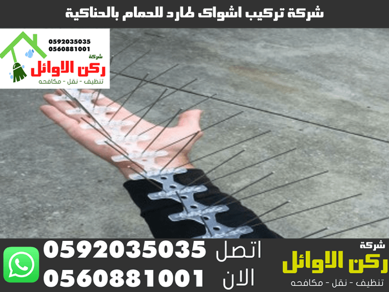 شركة تركيب اشواك طارد للحمام بالحناكية