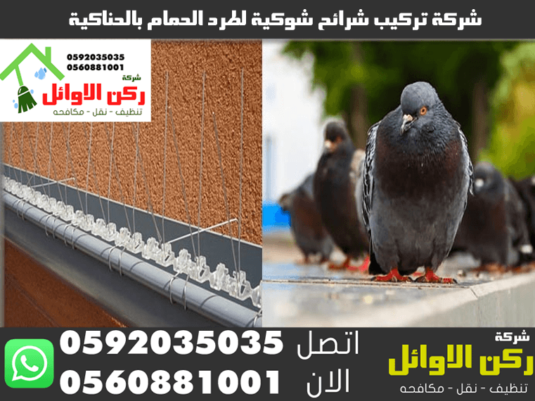 شركة تركيب شرائح شوكية لطرد الحمام بالحناكية