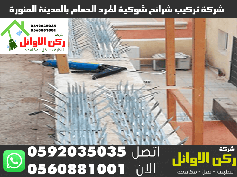 شركة تركيب شرائح شوكية لطرد الحمام بالمدينة المنورة