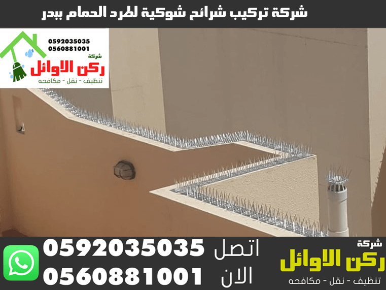 شركة تركيب شرائح شوكية لطرد الحمام ببدر