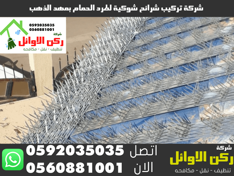 شركة تركيب شرائح شوكية لطرد الحمام بمهد الذهب