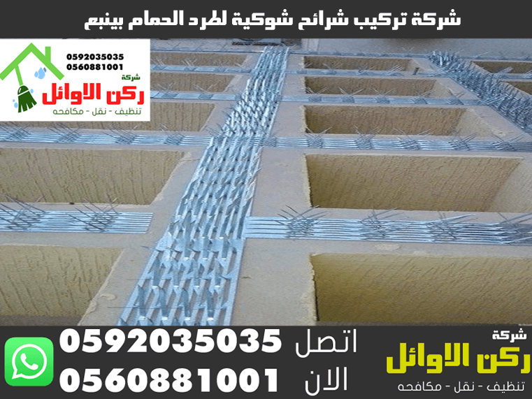 شركة تركيب شرائح شوكية لطرد الحمام بينبع