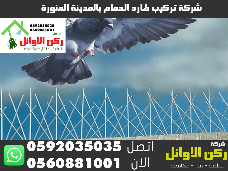 شركة تركيب طارد الحمام بالمدينة المنورة