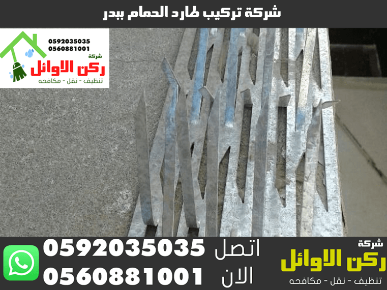 شركة تركيب طارد الحمام ببدر