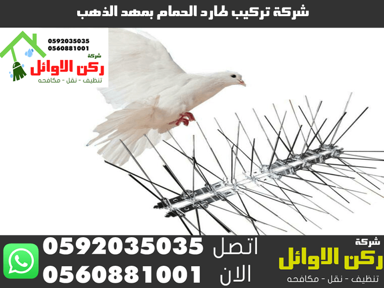 شركة تركيب طارد الحمام بمهد الذهب
