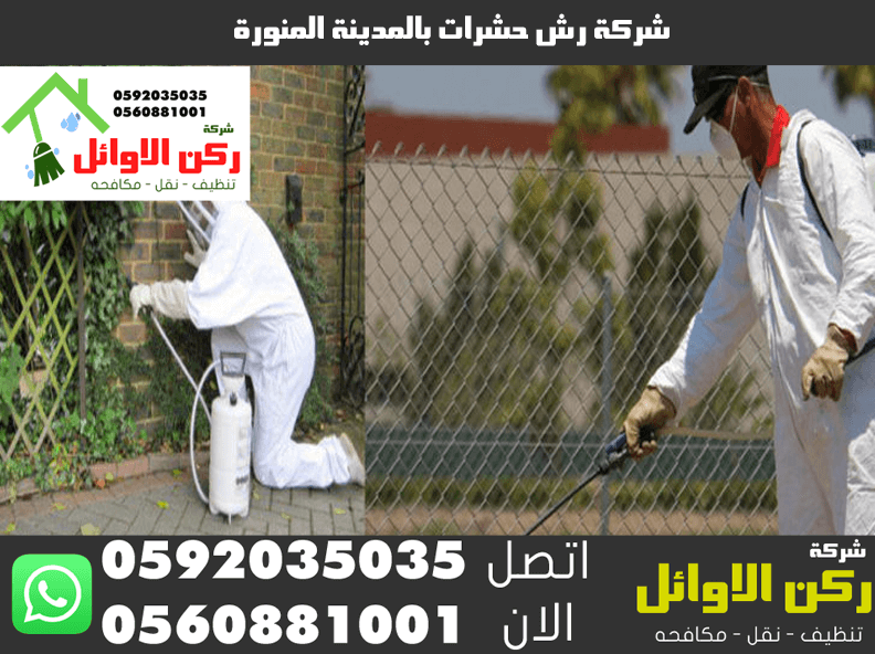 شركة رش حشرات بالمدينة المنورة