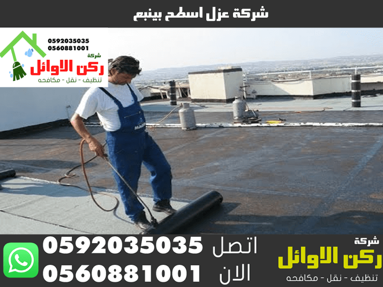 شركة عزل اسطح بينبع