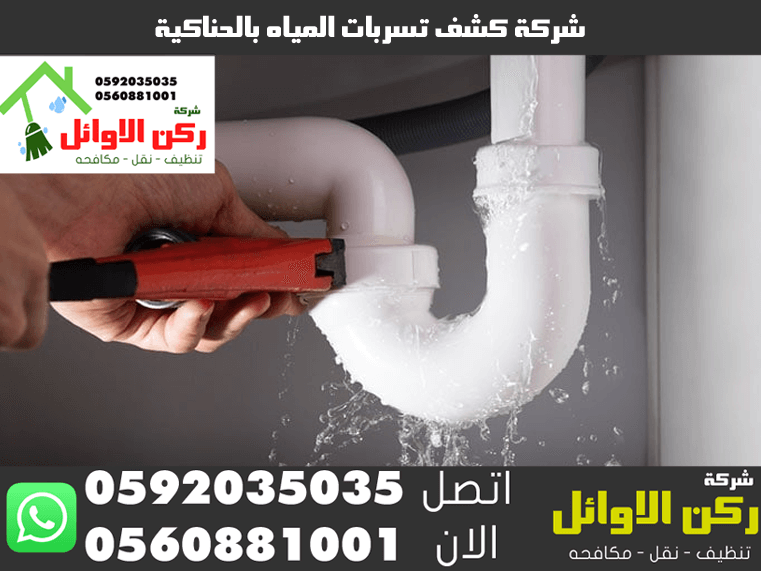 شركة كشف تسربات المياة بالحناكية