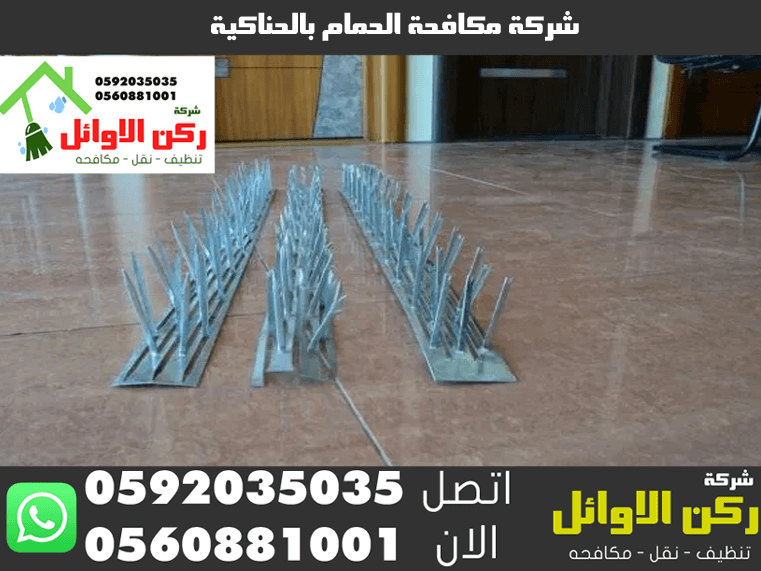 شركة مكافحة الحمام بالحناكية
