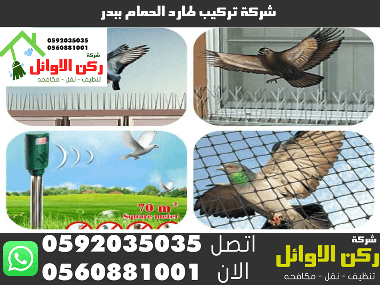 شركة مكافحة الحمام ببدر