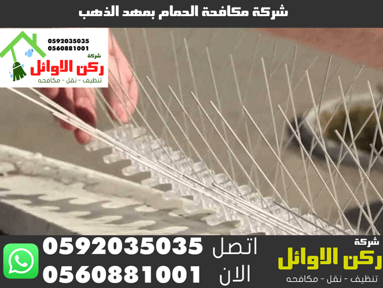 شركة مكافحة الحمام بمهد الذهب