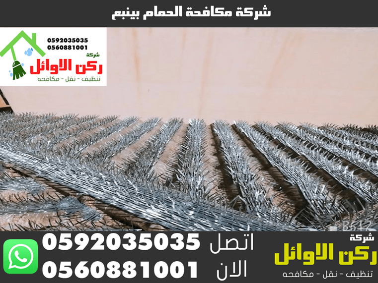 شركة مكافحة الحمام بينبع