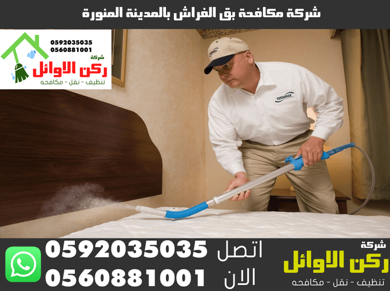 شركة مكافحة بق الفراش بالمدينة المنورة