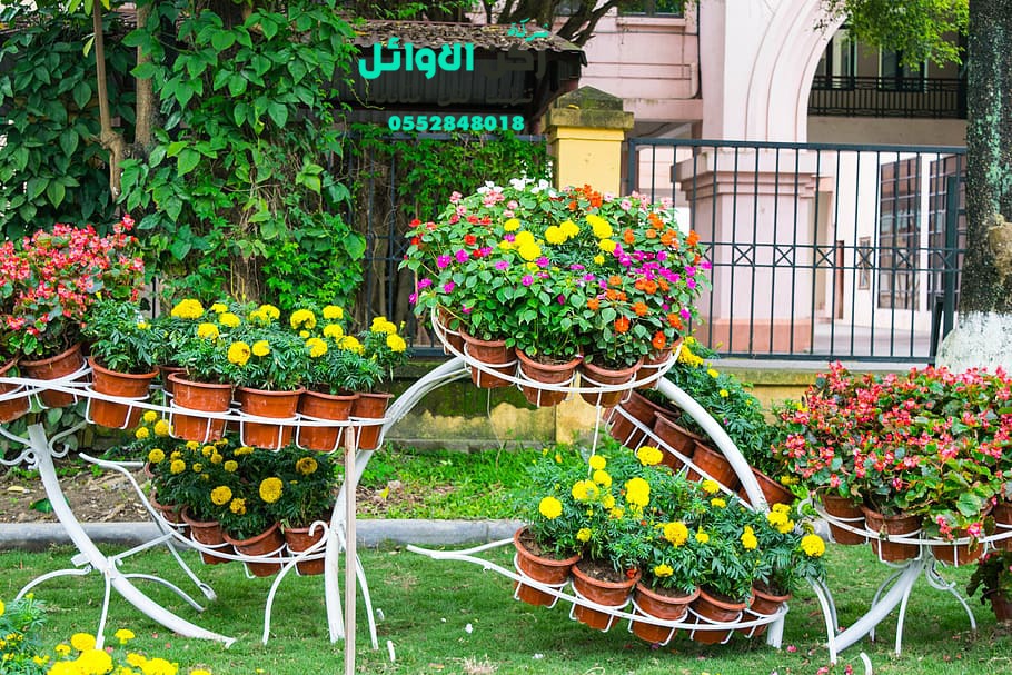 مهندس تصميم حدائق بالمدينة المنورة