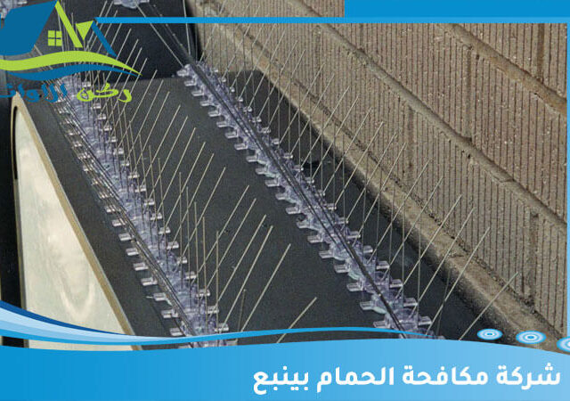شركة مكافحة الحمام بينبع
