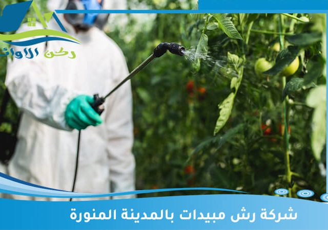 شركة رش مبيدات بالمدينة المنورة