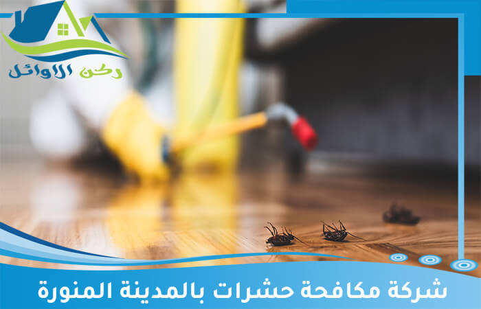 شركة مكافحة حشرات بالمدينة المنورة