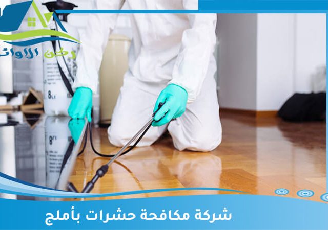 شركة مكافحة حشرات بأملج