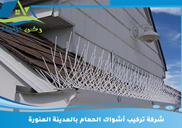 شركة تركيب أشواك الحمام بالمدينة المنورة
