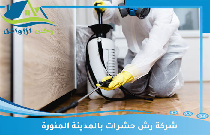 شركة رش حشرات بالمدينة المنورة