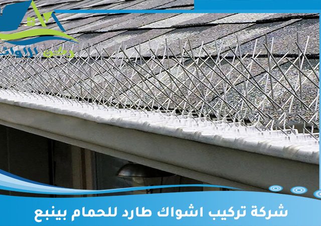 شركة تركيب اشواك طارد للحمام بينبع