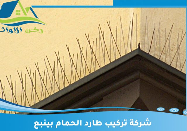 شركة تركيب طارد الحمام بينبع