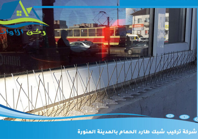 شركة تركيب شبك طارد الحمام بالمدينة المنورة