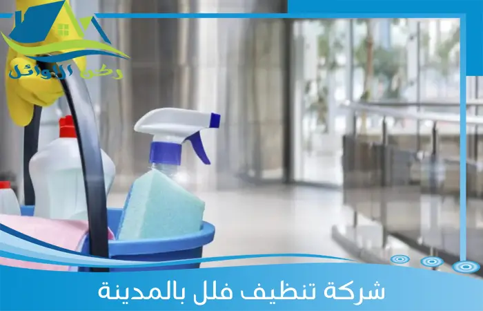 شركة تنظيف فلل بالمدينة المنورة